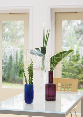 Plants and Herbs Interior Decoration