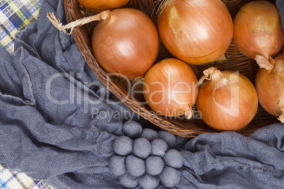 Onion food ingredients for cooking