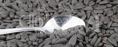 sunflower seeds background and one teaspoon