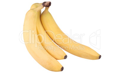 three yellow banana isolated