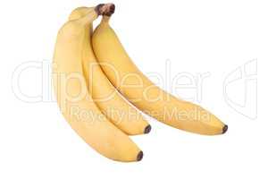 three yellow banana isolated