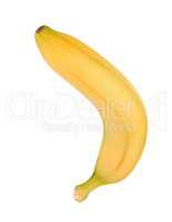 Yellow Banana Isolated