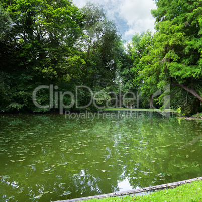 small lake in the woods