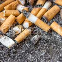 cigarette butts