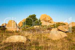 Felsen in der Bretagne