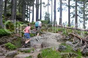 Wanderer am GRoßen Arber