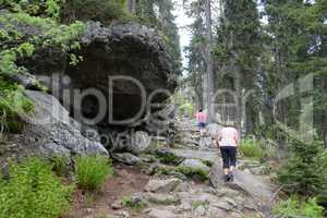 Wanderer am GRoßen Arber