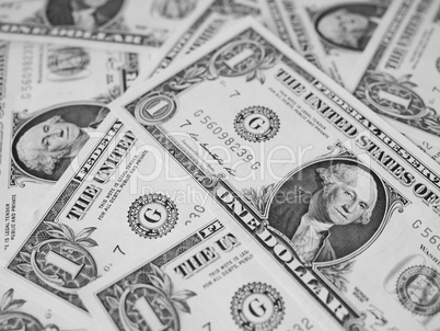 Black and white Dollar notes 1 Dollar