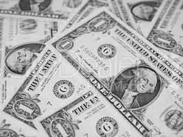 Black and white Dollar notes 1 Dollar