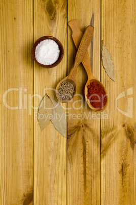 Spices and salt in a wooden shaker