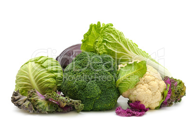 collection cabbages