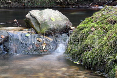 creek moss and stones