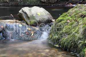 creek moss and stones