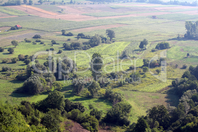 farmland summer landscape