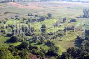 farmland summer landscape