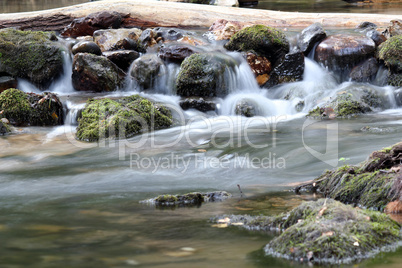 water spring scene