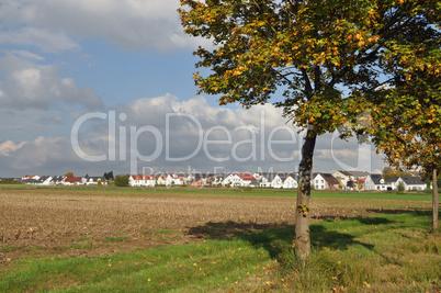 Baum bei Rödermark-Urberach