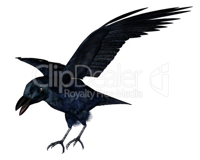 Black crow - 3D render