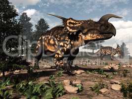 Einiosaurus dinosaurs in the desert - 3D render