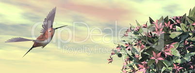 Allen's hummingbird and flowers - 3D render