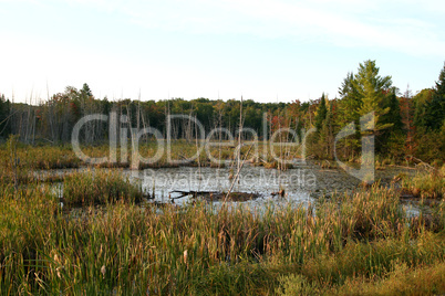 Seelandschaft Kanada