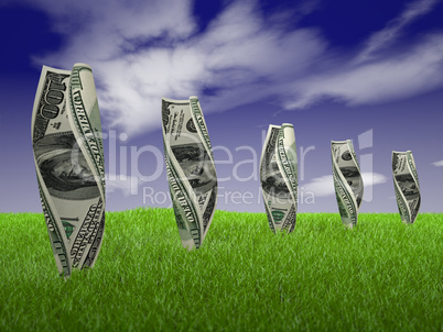 dollar bills on grass