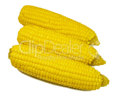 ear of corn