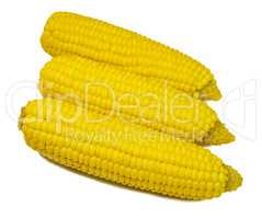 ear of corn