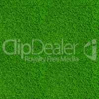 Green lawn grass background texture high resolution
