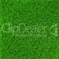 Green lawn grass background texture close-up. 3d render