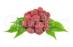 raspberries