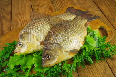 raw crucian