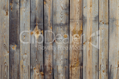 wood background