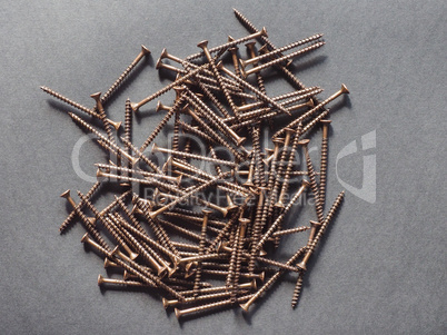 Wood screw