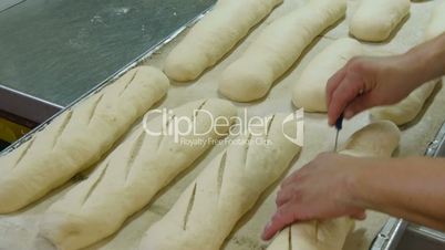 german baker cut many different  bread dough 11732