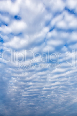 White cumulus clouds