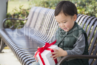 Mixed Race Boy Opening A Christmas Gift Outdoors