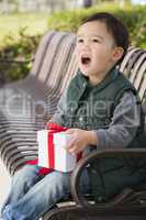 Mixed Race Boy Opening A Christmas Gift Outdoors