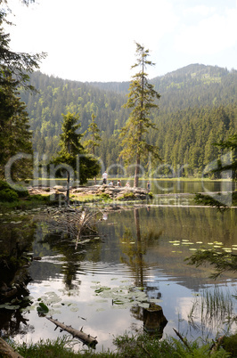 Großer Arbersee