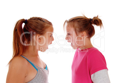 Two sisters shouting at each other.