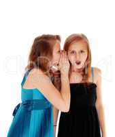Two girls sharing secrets.