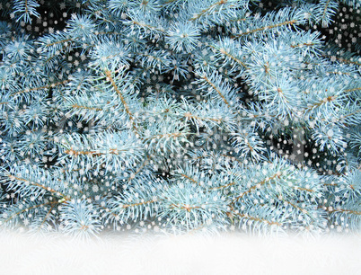 fur-tree with falling snowflakes