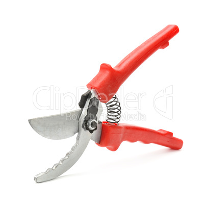 pruner isolated on white background