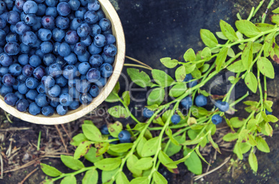 Wooden bowl of blueberries