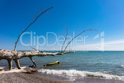 Ostseeküste auf der Insel Rügen