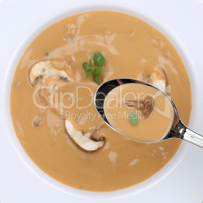 Gesunde Ernährung Pilzsuppe essen Pilz Champignons Suppe auf L