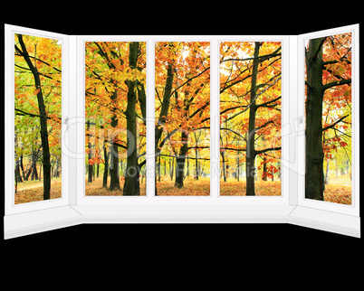 window overlooking the autumn park isolated