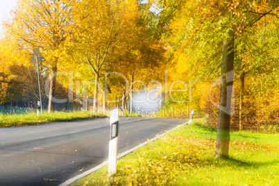 Malerischer Landstraße im Herbst