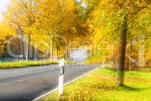 Malerischer Landstraße im Herbst