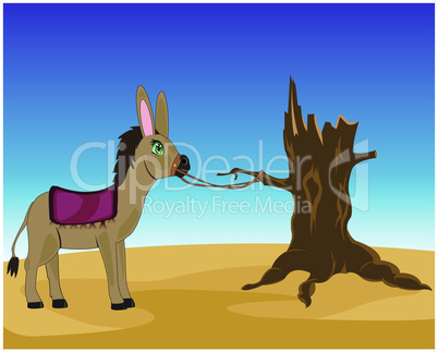 burro in desert.eps